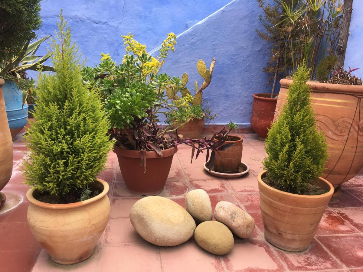 Bed and Breakfast Dar Onsar Chefchaouen Exterior foto